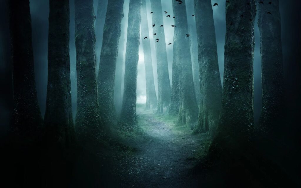 early signs of anorexia represented by mist in forest