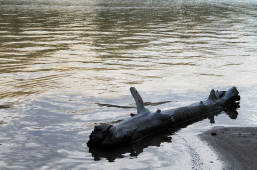 A Story about Change