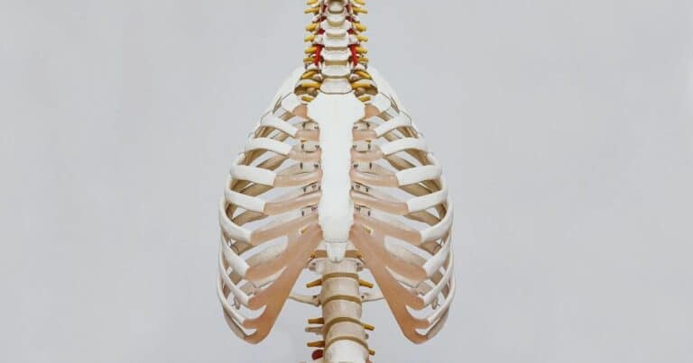 skeleton image showing the symptoms of starvation, as a result of starvation diets