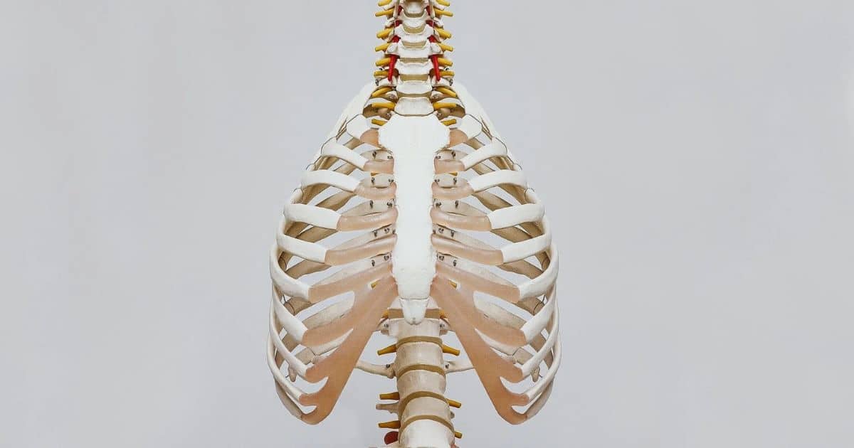 skeleton image showing the symptoms of starvation, as a result of starvation diets