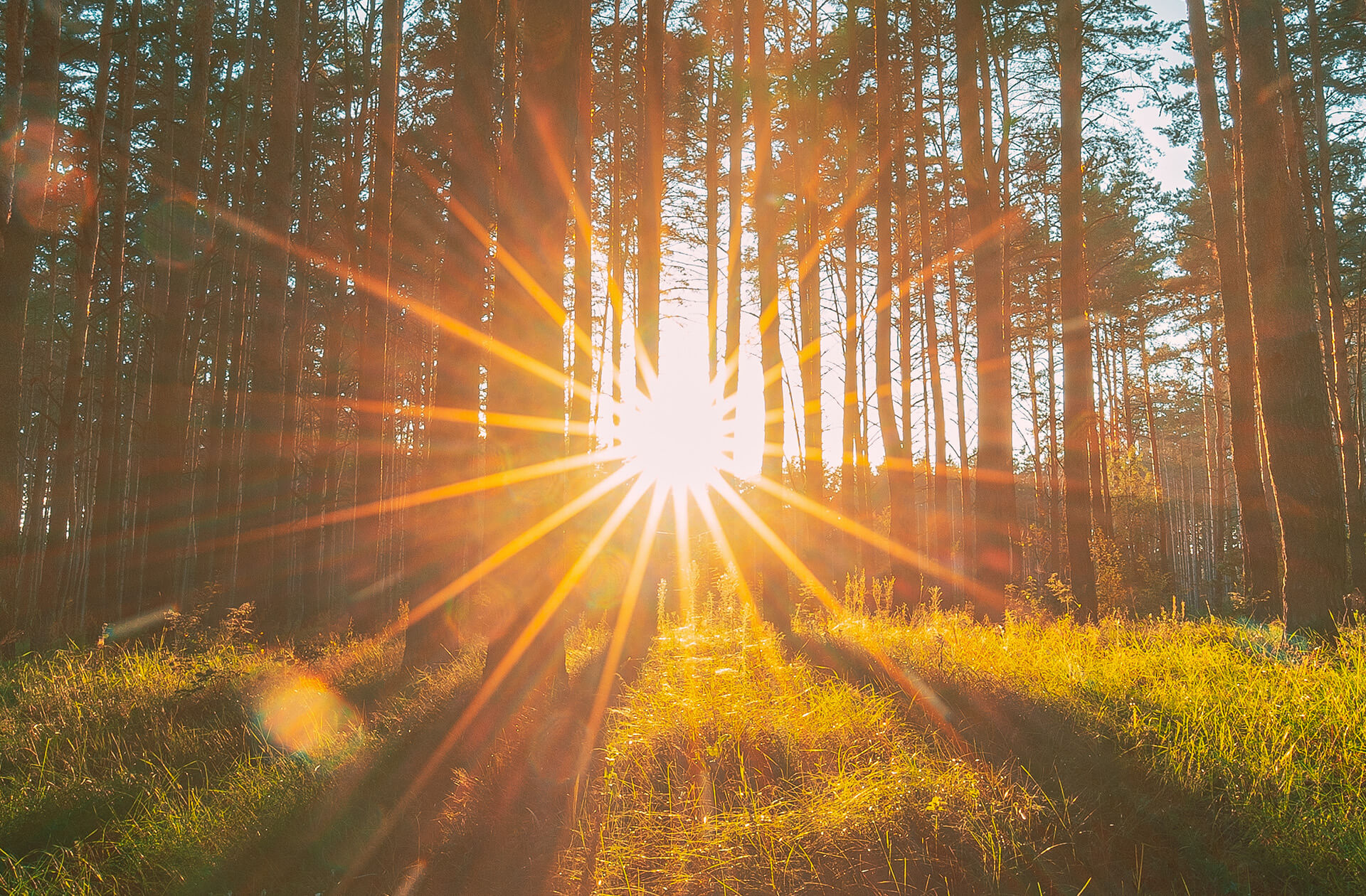 anorexia treatment uk and anorexia nervosa therapy represented by the view of the sunrise 