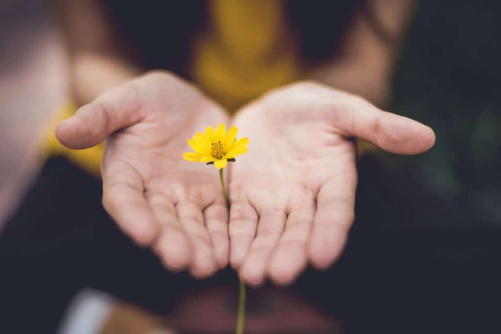 CBT for Binge Eating Disorderrepresented by hands holding a flower