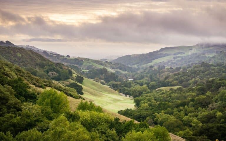 An expansive, serene valley seen from a distance, representing stepping back from the hyper-focus of bigorexia nervosa