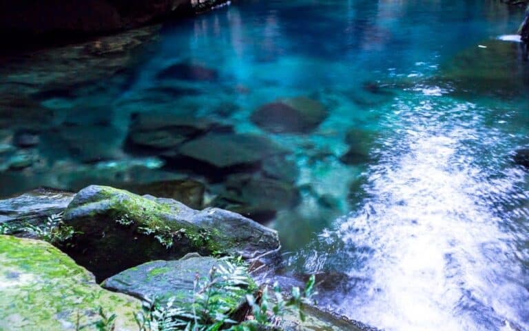 A fast-flowing stream settling into a calm, still pool, symbolising emotional regulation in adhd and binge eating