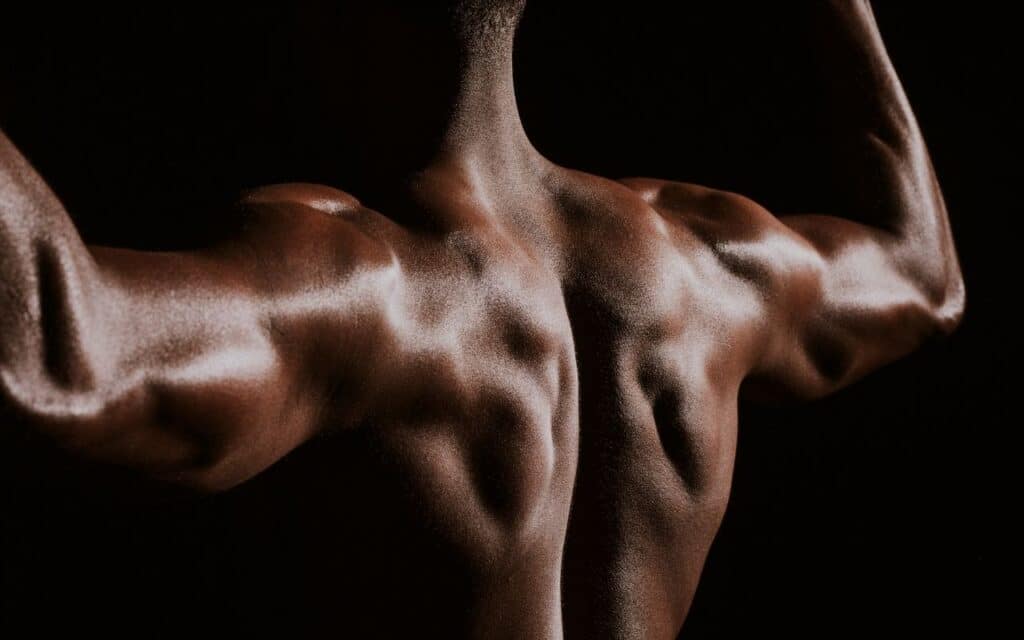 bigorexia nervosa - man's muscular back