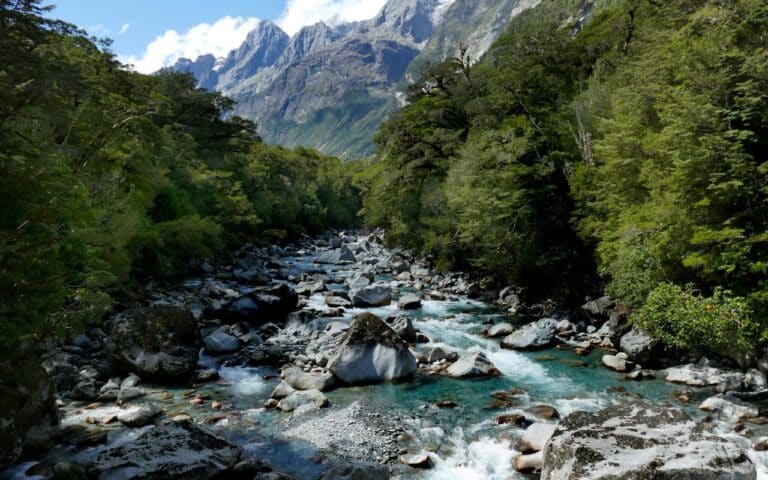 stages of anorexia represented by a rocky winding river